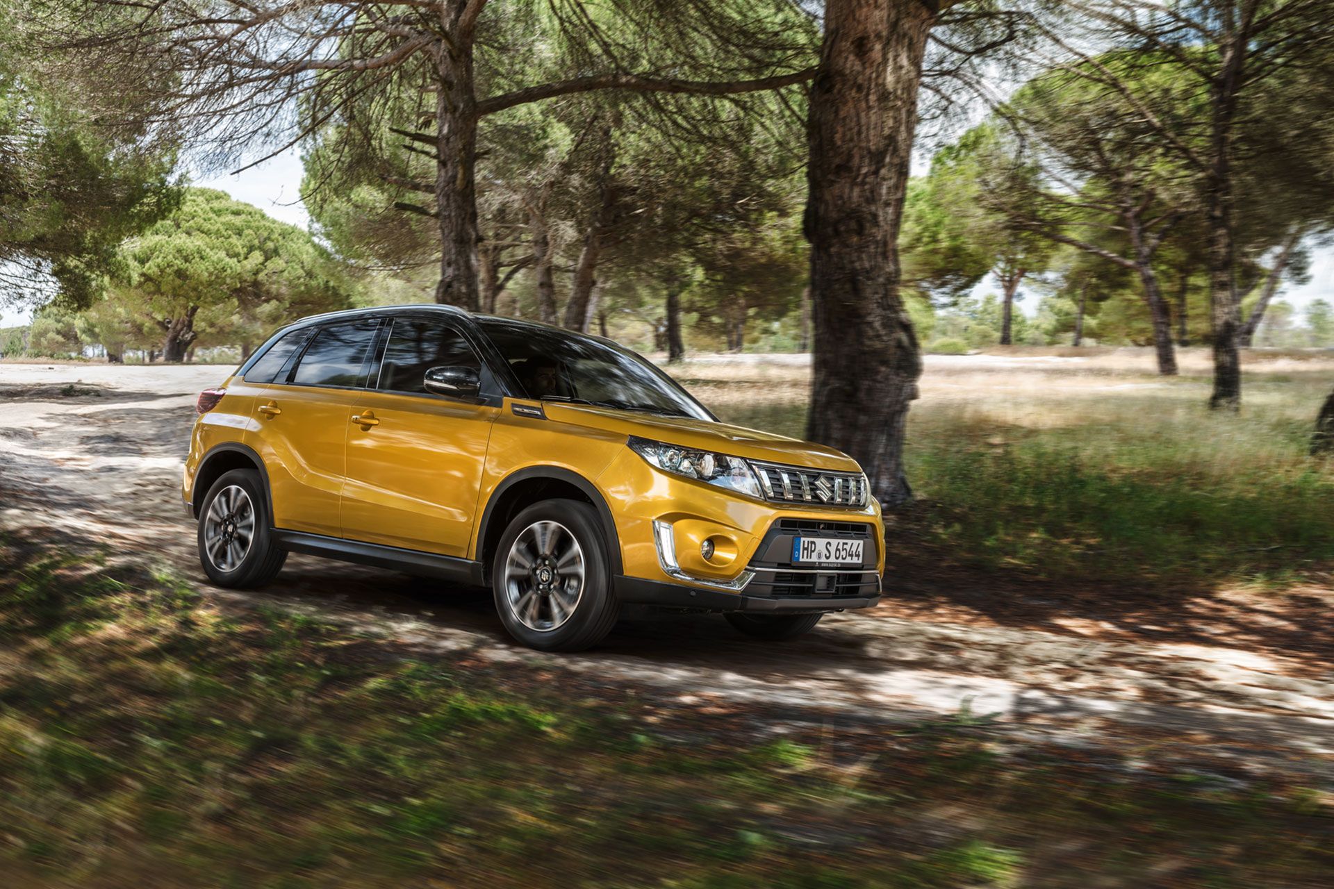 Suzuki Vitara Suzuki Wado